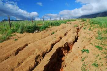 Защита почвы от эрозии при помощи биоматов